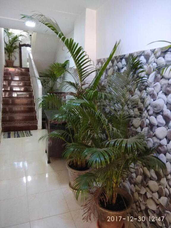 Alegro Holiday Homes Palolem Exterior foto